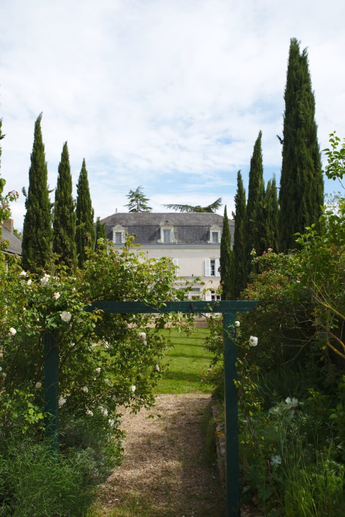 Garden fig tree cottage